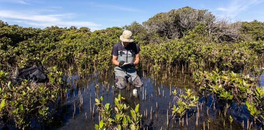 Rising Methane Could Indicate Earth's Climate Is In The Middle