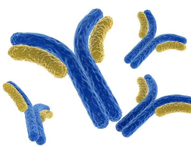 New Machine Learning Algorithm Helps Optimize Next Generation Therapeutic Antibodies