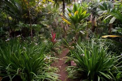 A Hawaiian Paradise Built By Esteemed Modern Poet W.s. Merwin