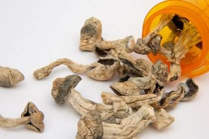 Can Magic Mushrooms Replace Oxycodone? Psychedelic Compounds May Help Treat