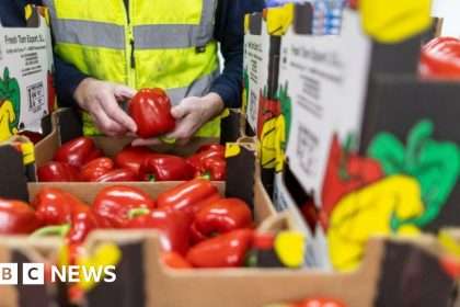 New Brexit Food Checks Will Test Britain's Supply Chains