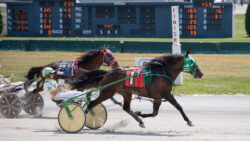 Muskingum Discovers Winning Secret At Buffalo Race Track – Us