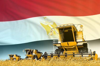 Natural Gas Shortage Causes Egyptian Fertilizer Prices To Rise By