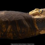 Ancient Egyptian Mummy's Face Reconstructed For The First Time In