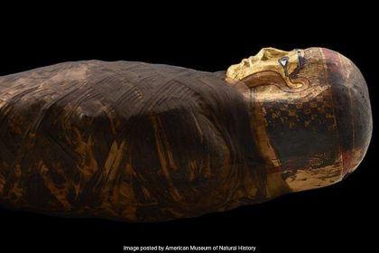 Ancient Egyptian Mummy's Face Reconstructed For The First Time In