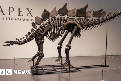 Dinosaur Skeleton Sells For Record $44.6 Million At New York