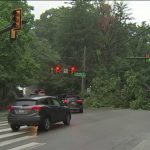 Fallen Tree Blocks Traffic On Lincoln Avenue – Nbc10 Philadelphia