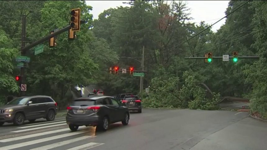 Fallen Tree Blocks Traffic On Lincoln Avenue – Nbc10 Philadelphia