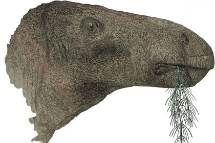 Fossil Collectors Unearth Britain's Most Complete Dinosaur Since 1923