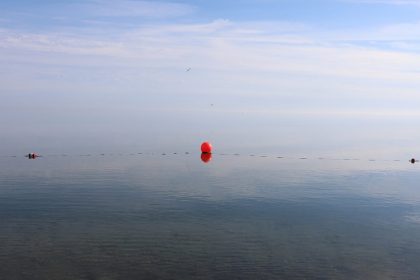 Four New York Beaches Closed To Swimming Due To E.