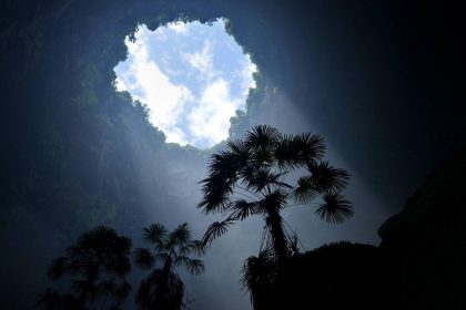 Massive Sinkhole In China Is Home To A 'paradise Like' Forest