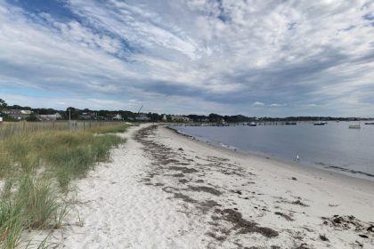 Nearly 50 Massachusetts Beaches To Close Sunday, July 28