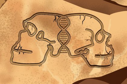 New Discovery Reveals Link Between Ancient Humans And Neanderthals