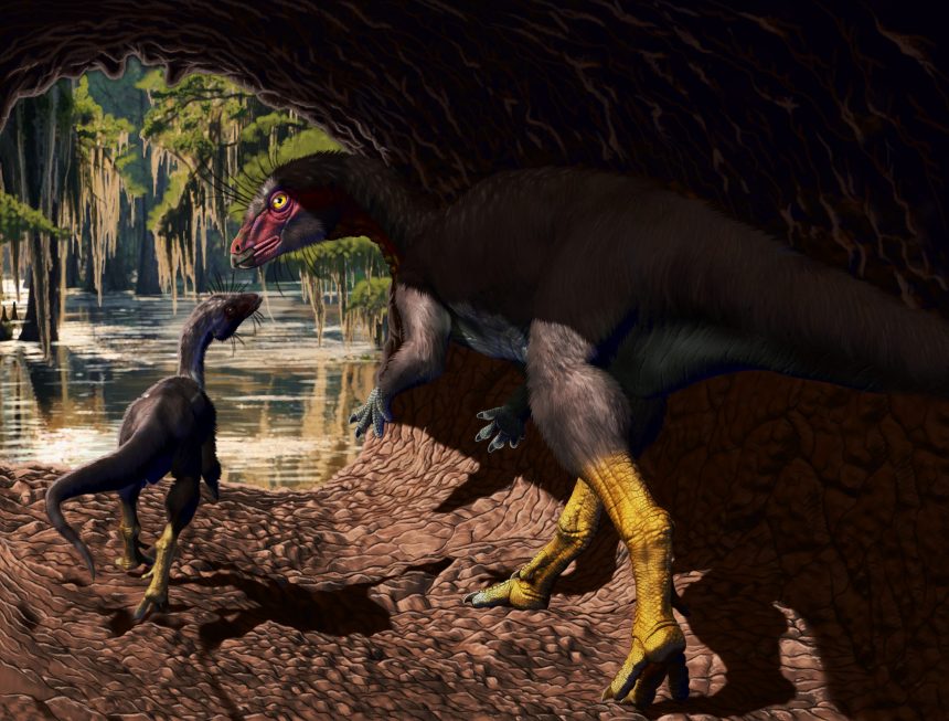 Scientists Discover Rare New Species Of Dinosaur That Lived Underground