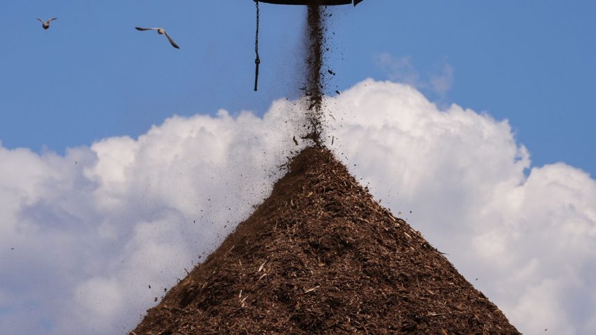 The Wood Pellet Industry Has Boomed To Meet Demand In