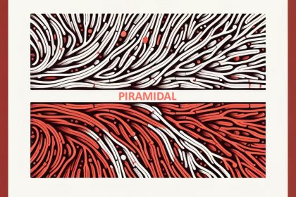 Pyramidal's Brainwave Model Could Boost Eeg Effectiveness